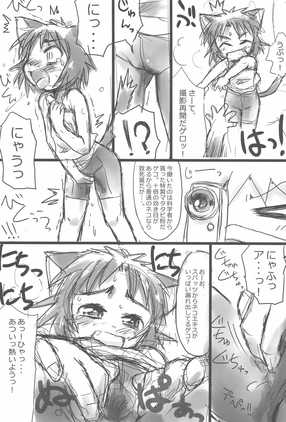 ぬこ娘っぽい 13ページ