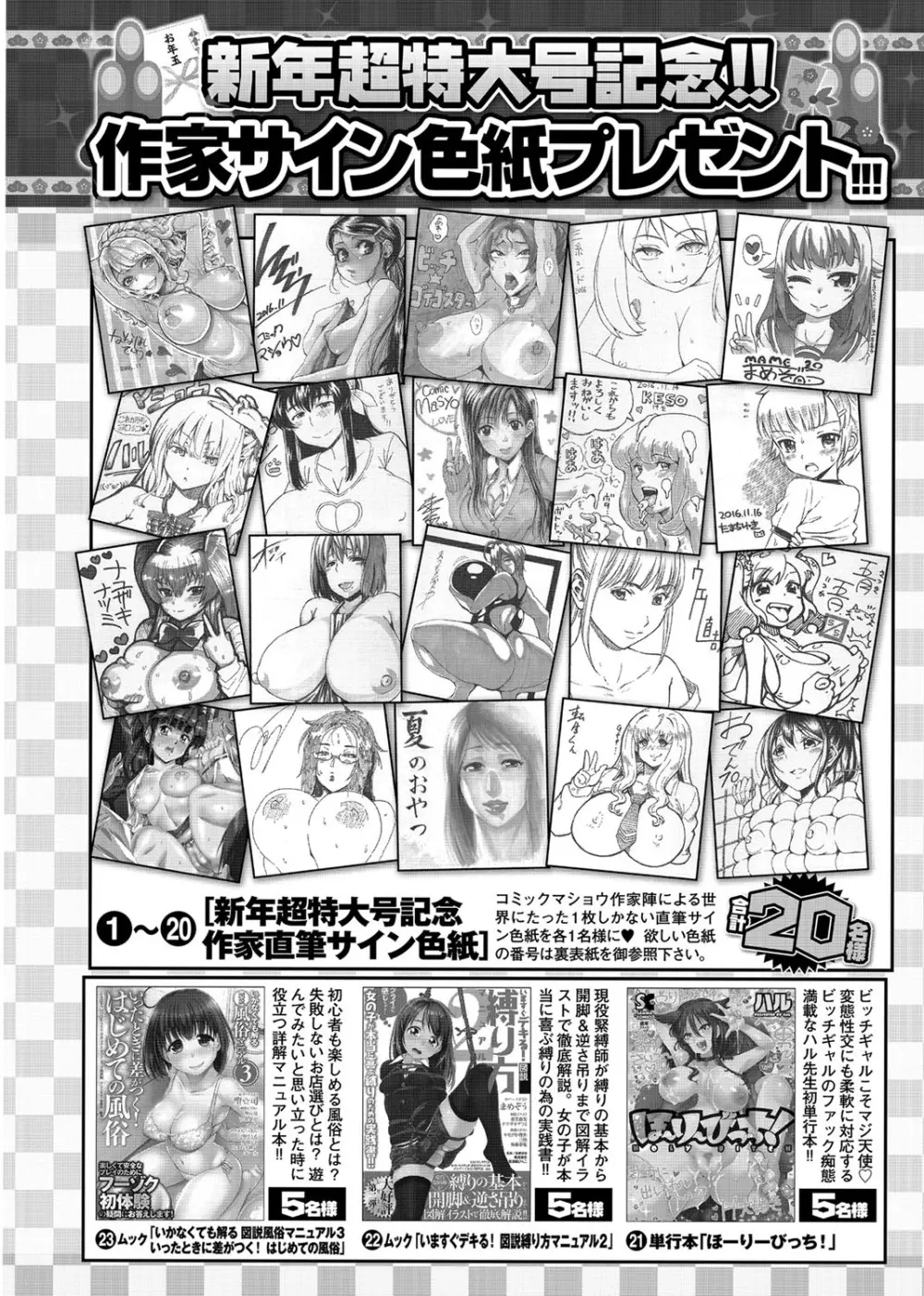 コミック・マショウ 2017年2月号 382ページ