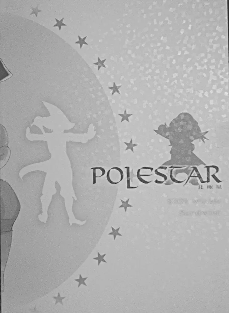 Polestar 32ページ