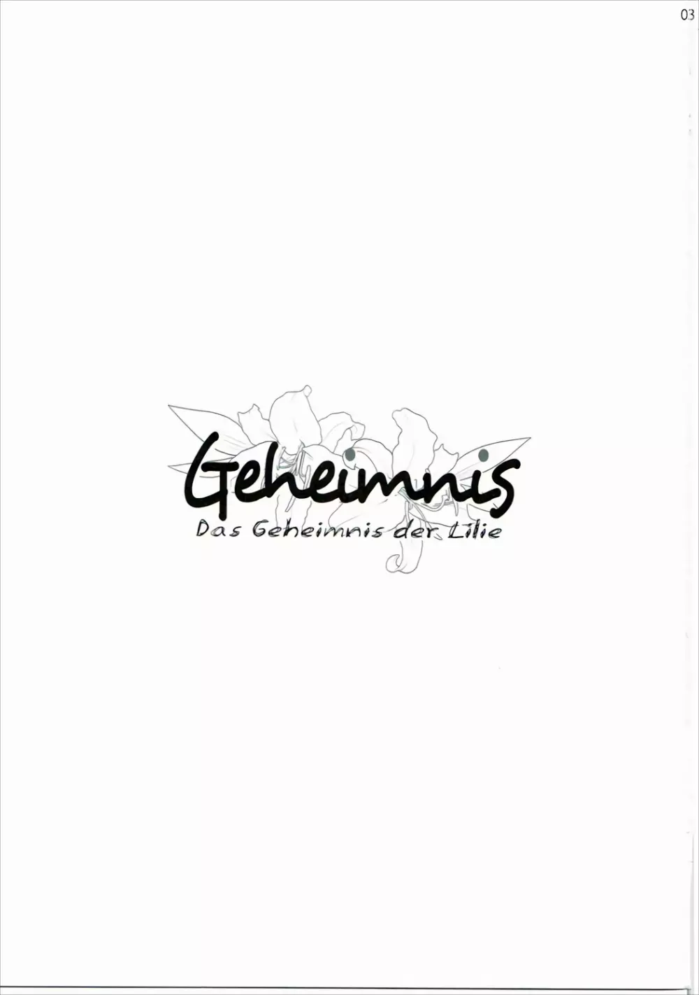 Geheimnis 2ページ