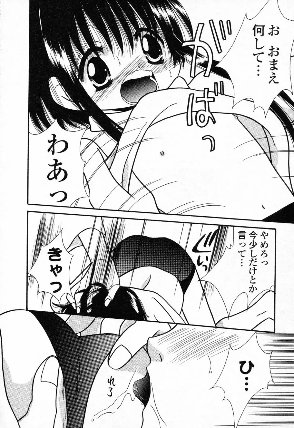 ぴゅあぷちっと Vol.23 95ページ