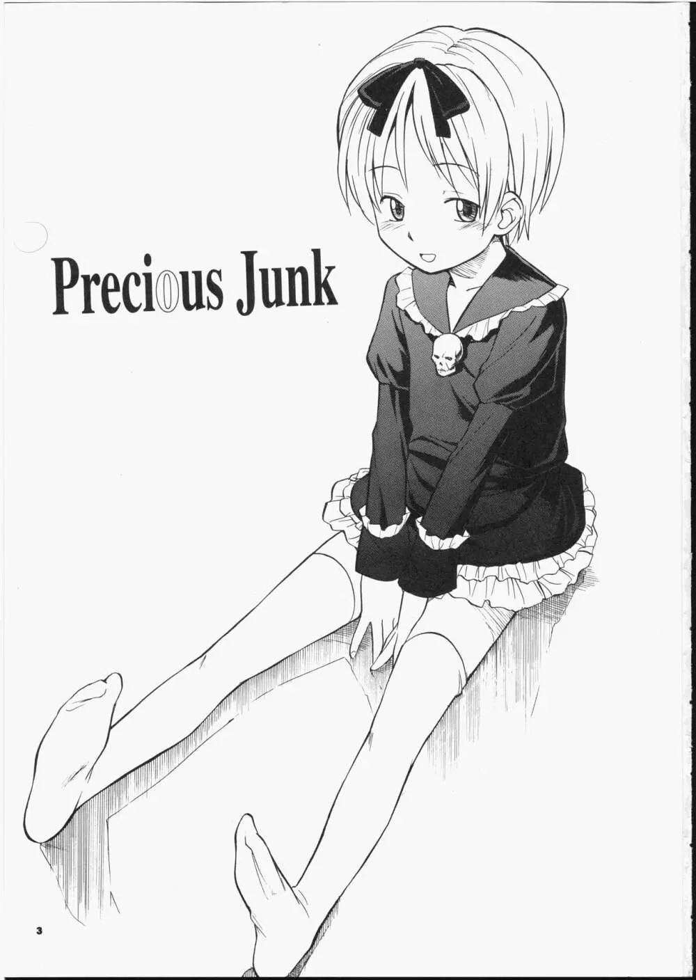 Precious Junk 2ページ