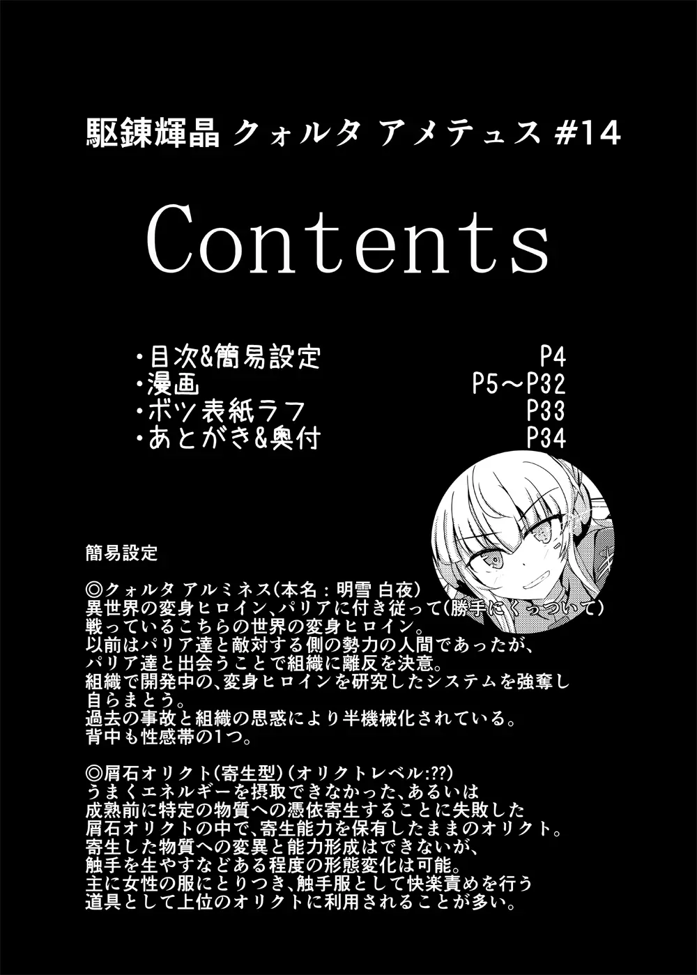 駆錬輝晶 クォルタ アメテュス #14 3ページ