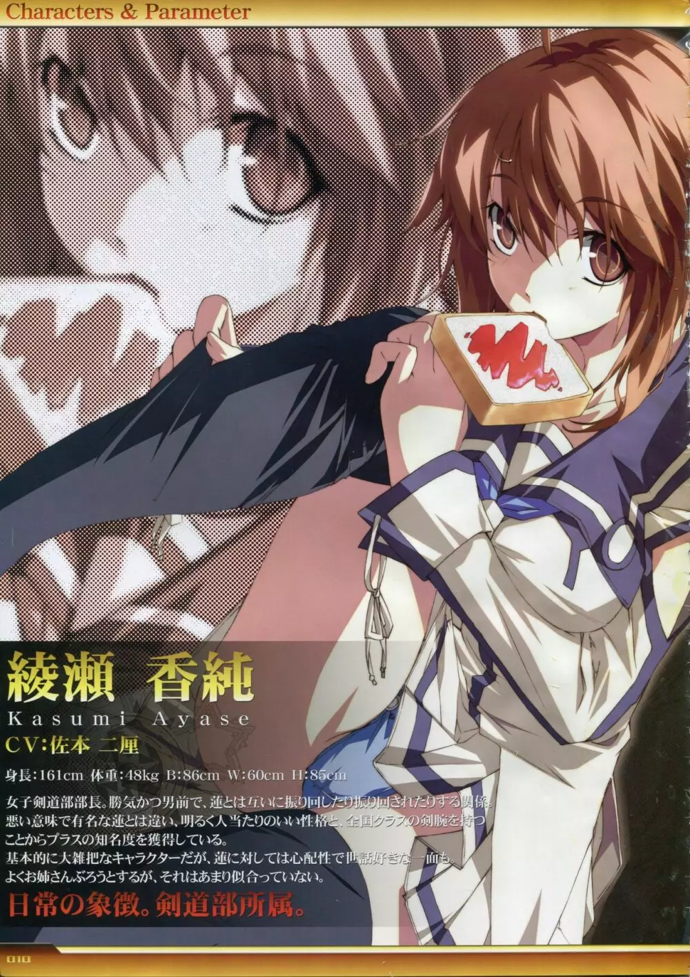 Dies irae Visual Fanbook – White Book 11ページ