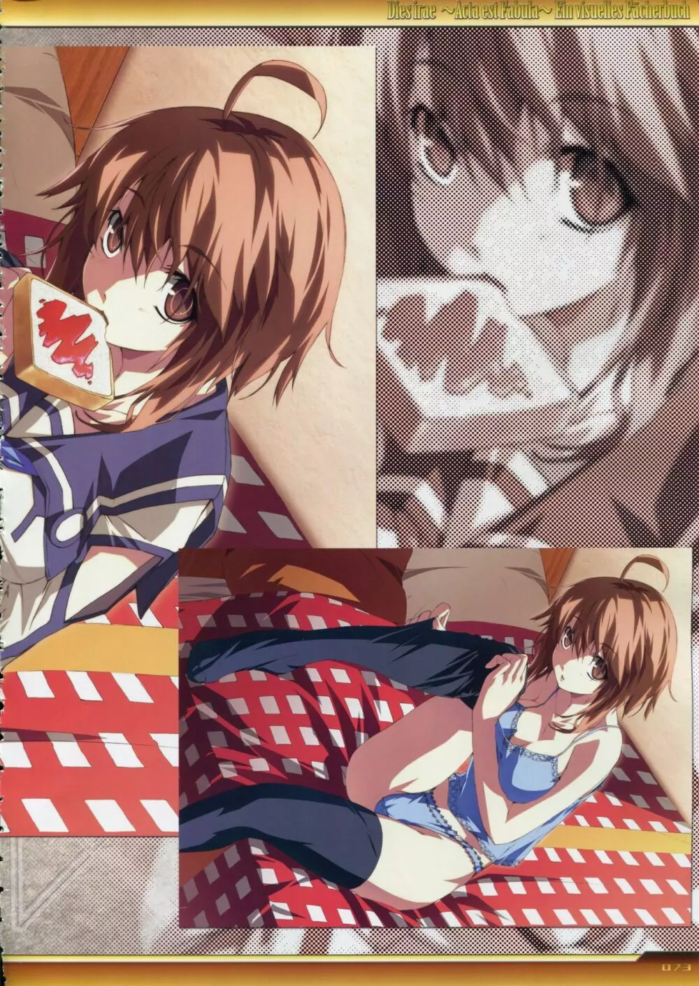 Dies irae Visual Fanbook – White Book 74ページ