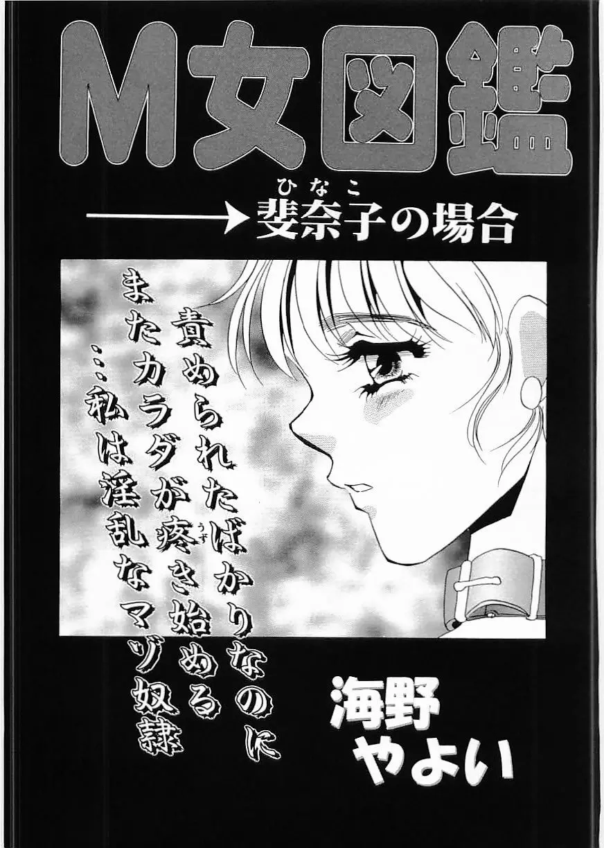 フラミンゴ 2000年2月号 211ページ