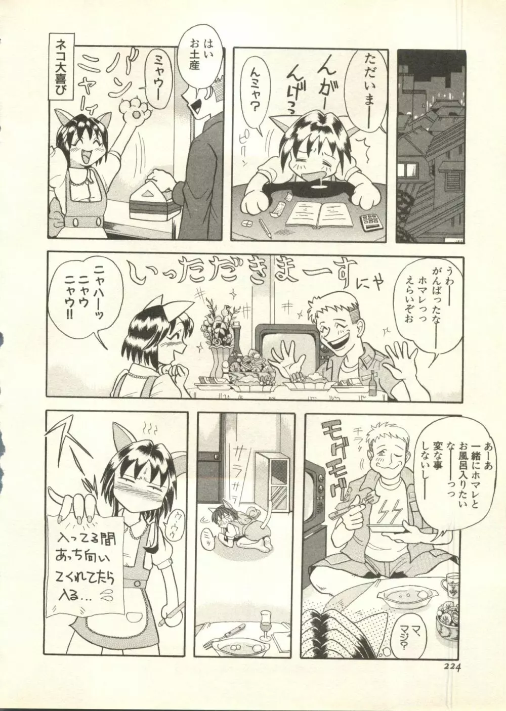 パイク Pai.kuu 1998 July vol.11 文月 225ページ