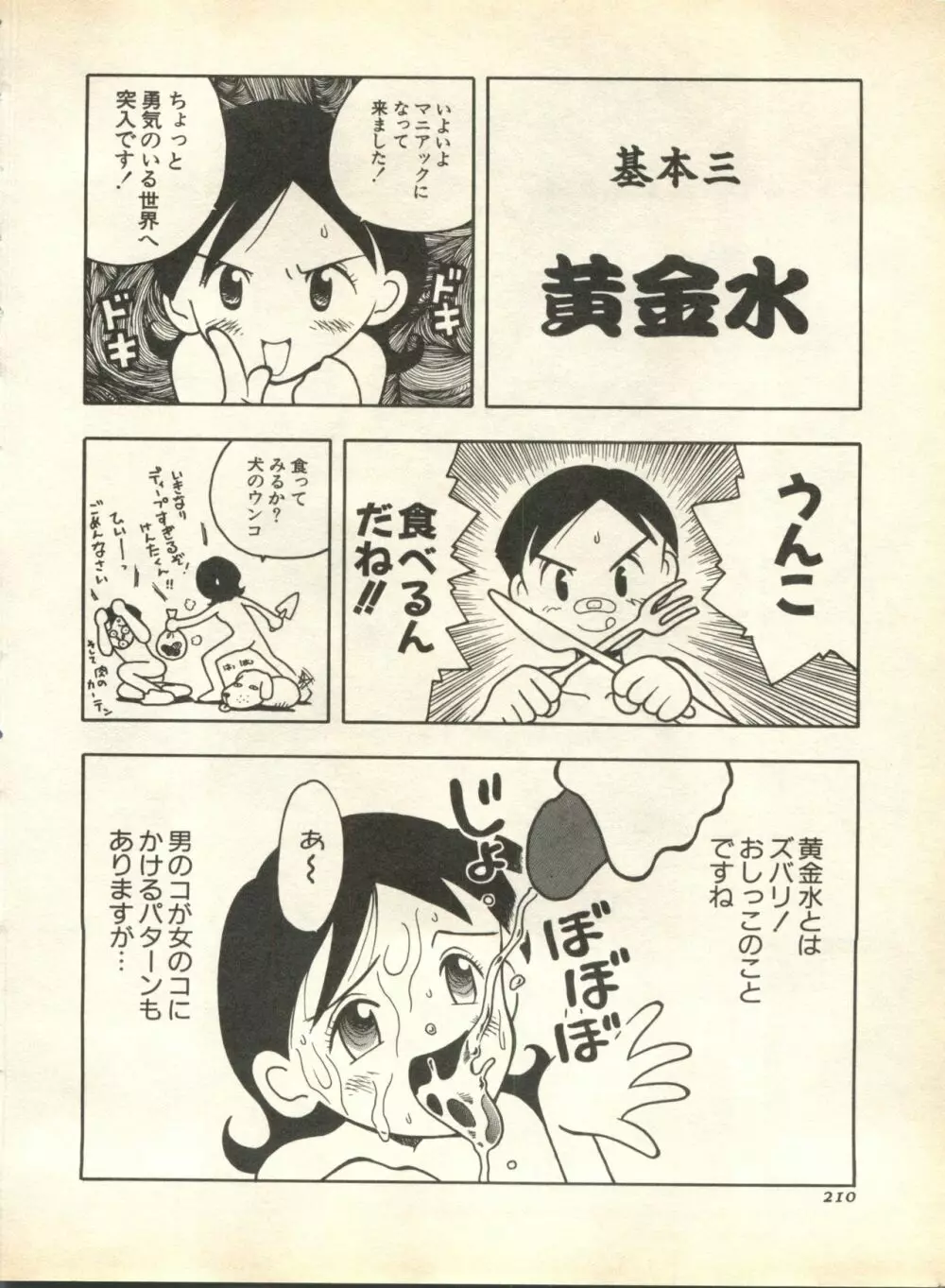 パイク Pai;kuu 1998 October Vol.13 神無月 210ページ