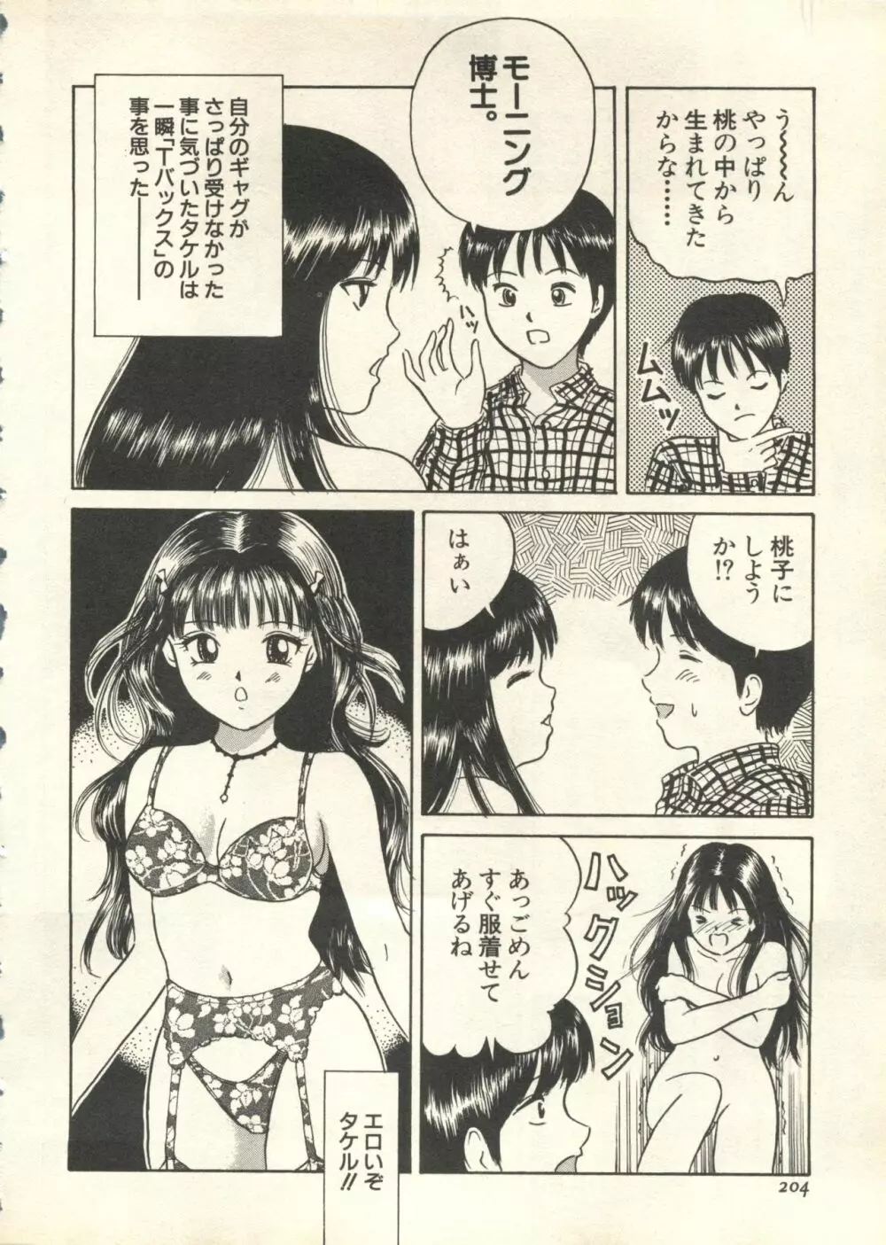 パイク Pai;kuu 1999 July Vol.20 文月 205ページ