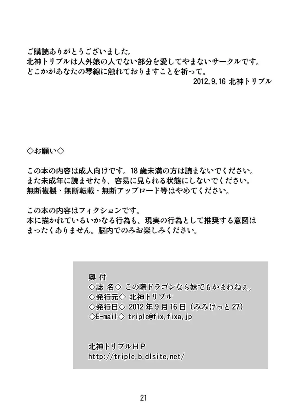 この際ドラゴンなら妹でもかまわねぇ。 20ページ