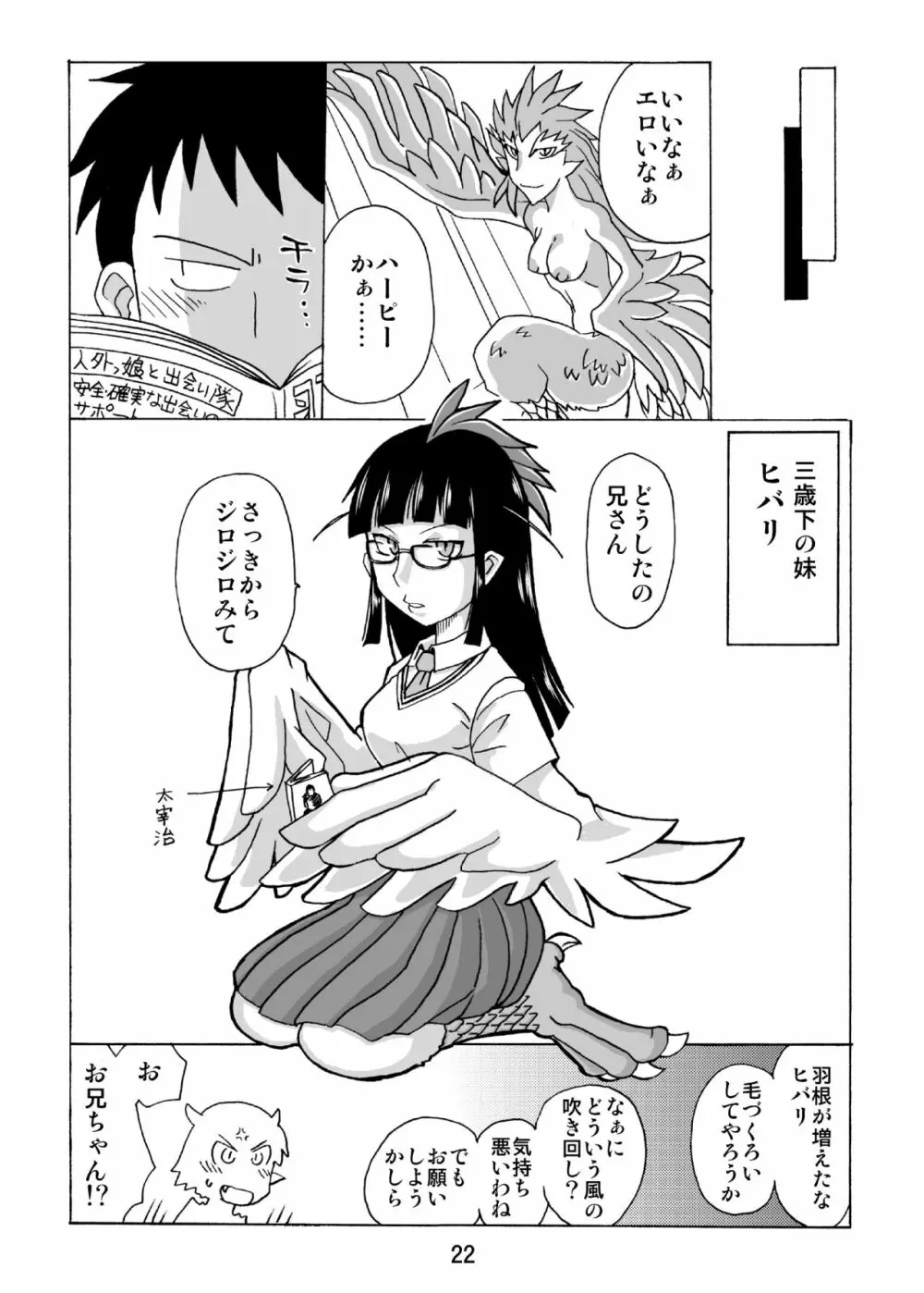 この際ドラゴンなら妹でもかまわねぇ。 21ページ