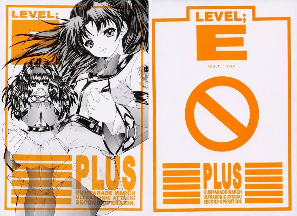 LEVEL E Plus