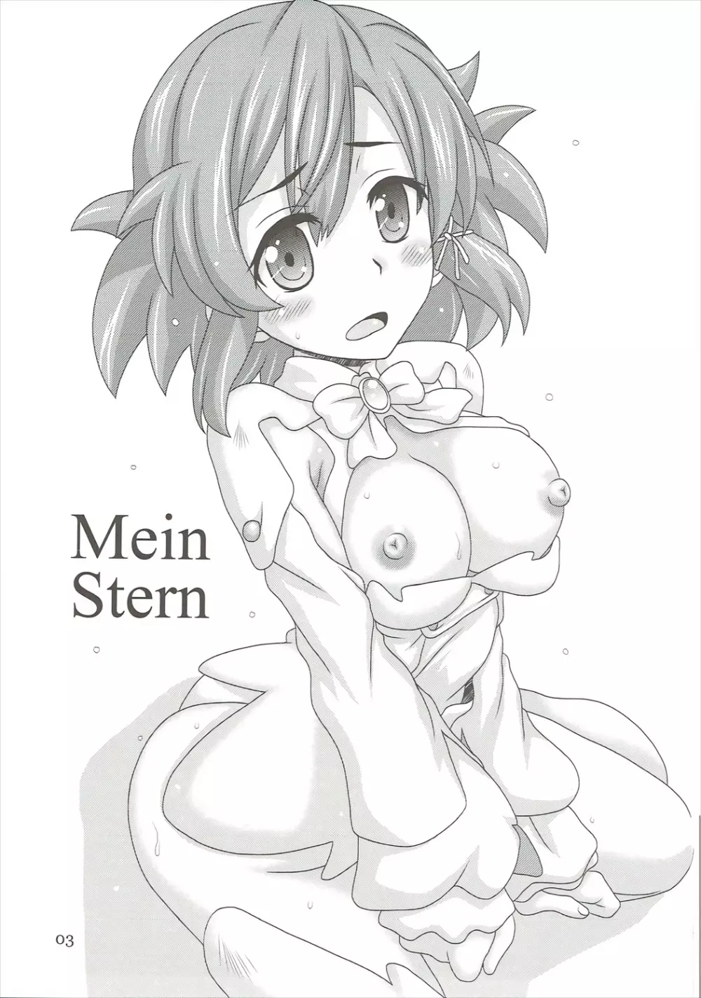 Mein Stern 2ページ