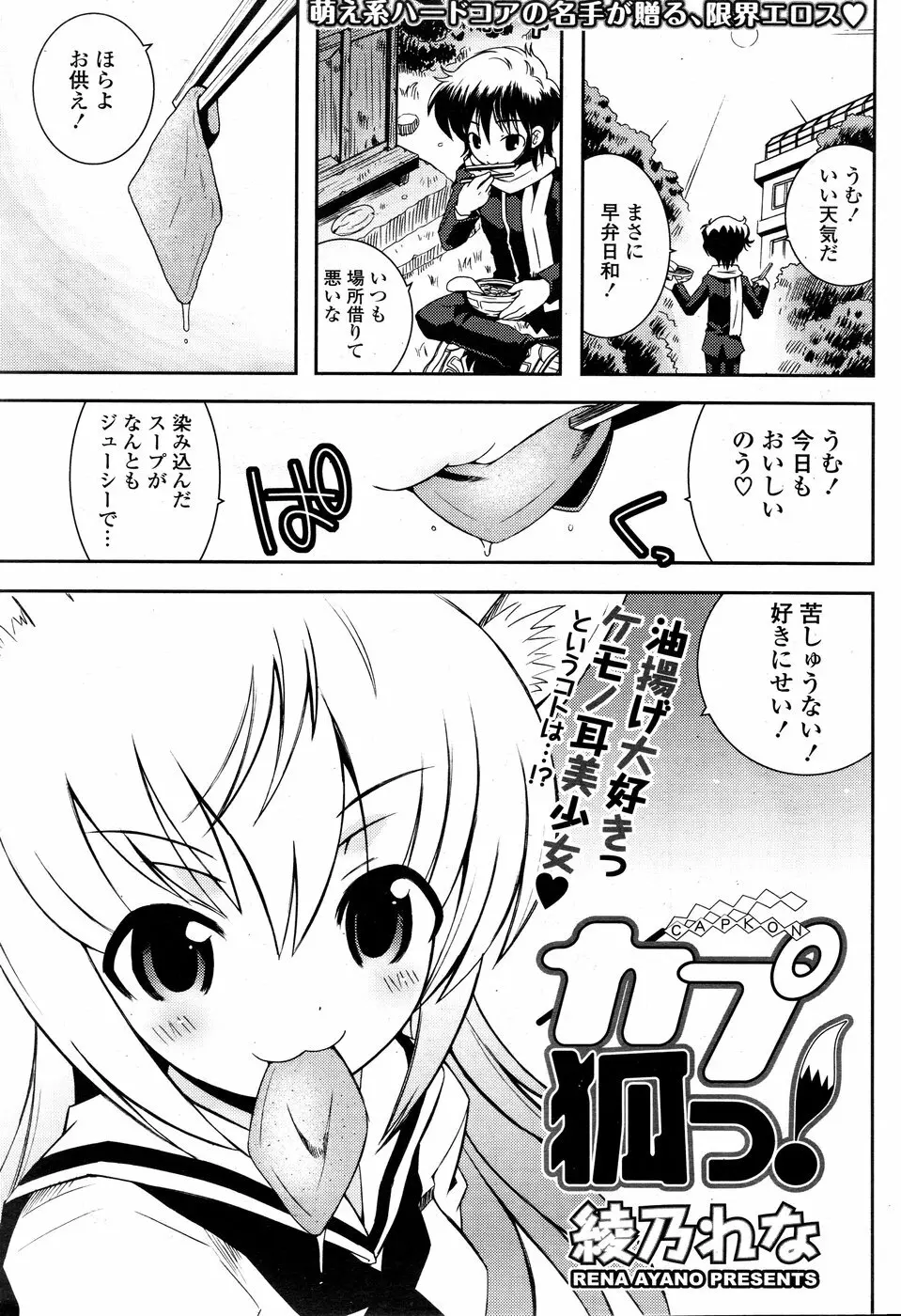 COMIC ポプリクラブ 2008年12月号 241ページ