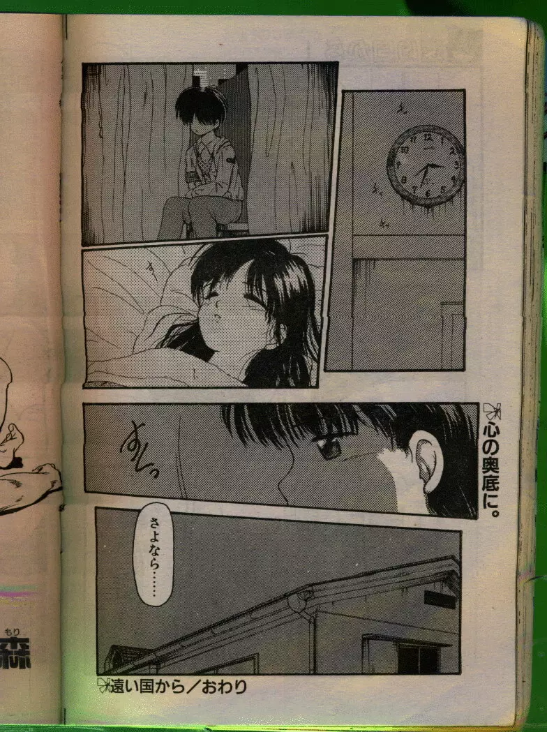 COMIC パピポ 1992年06月号 85ページ