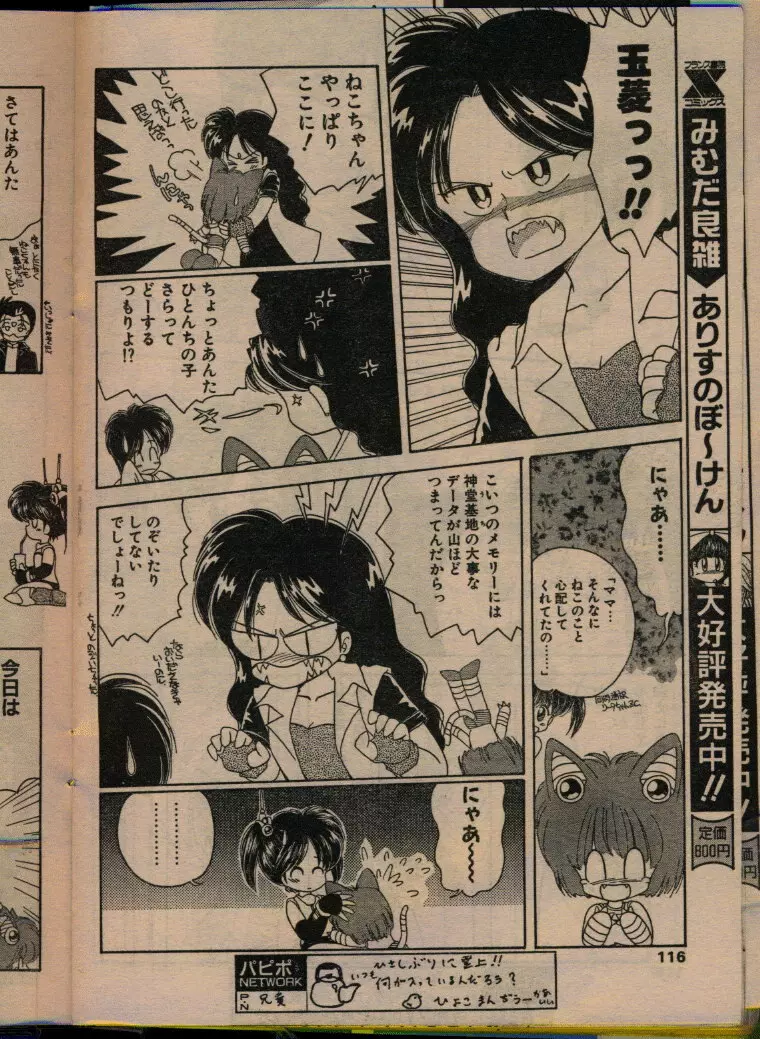 COMIC パピポ 1993年08月号 114ページ