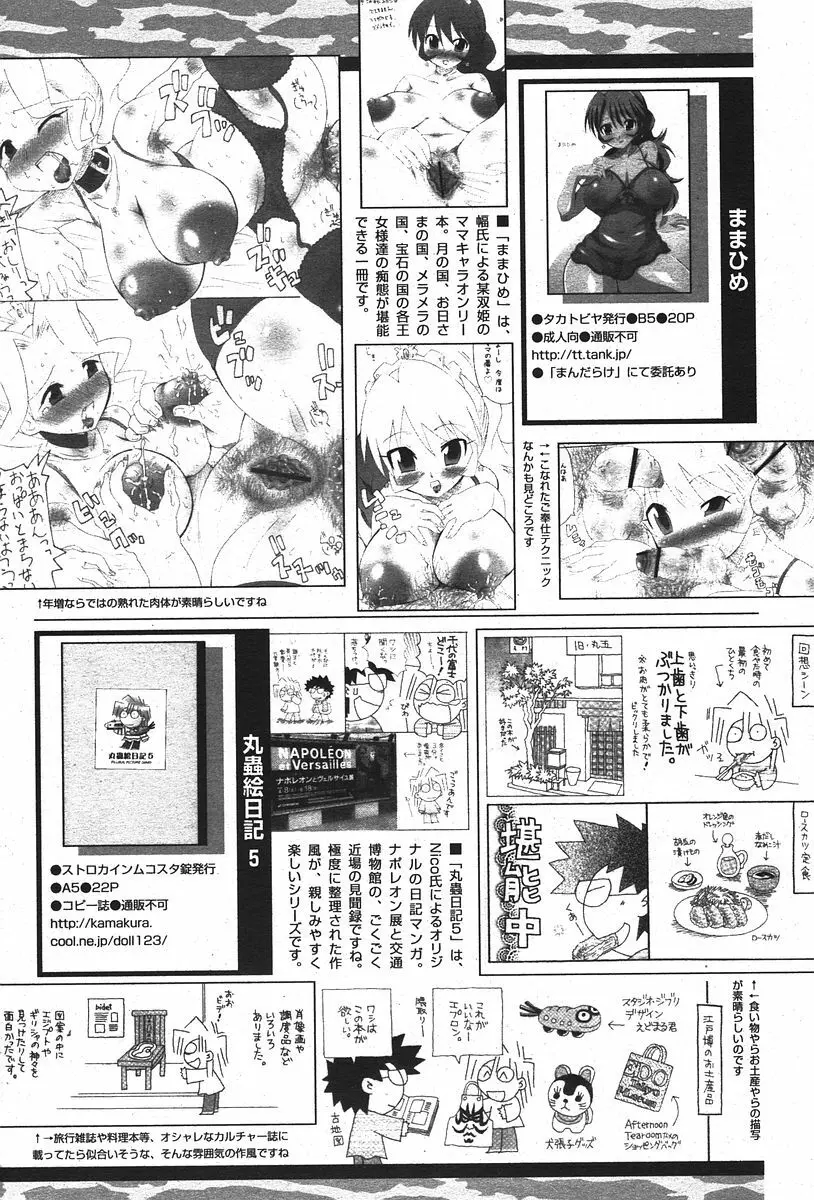 COMIC パピポ 2006年07月号 241ページ