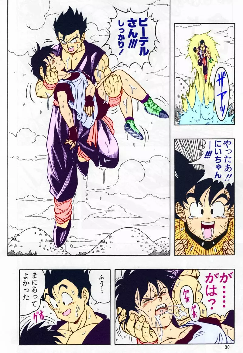 ドラゴンボール H 総集編 29ページ