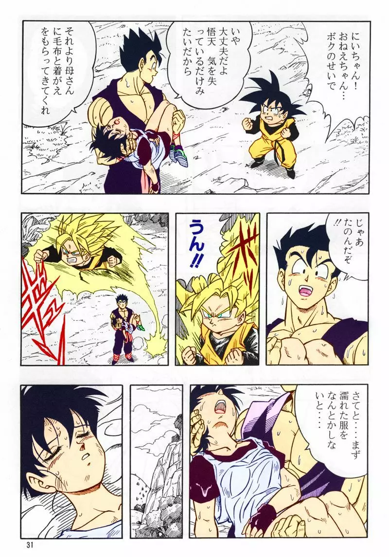 ドラゴンボール H 総集編 30ページ