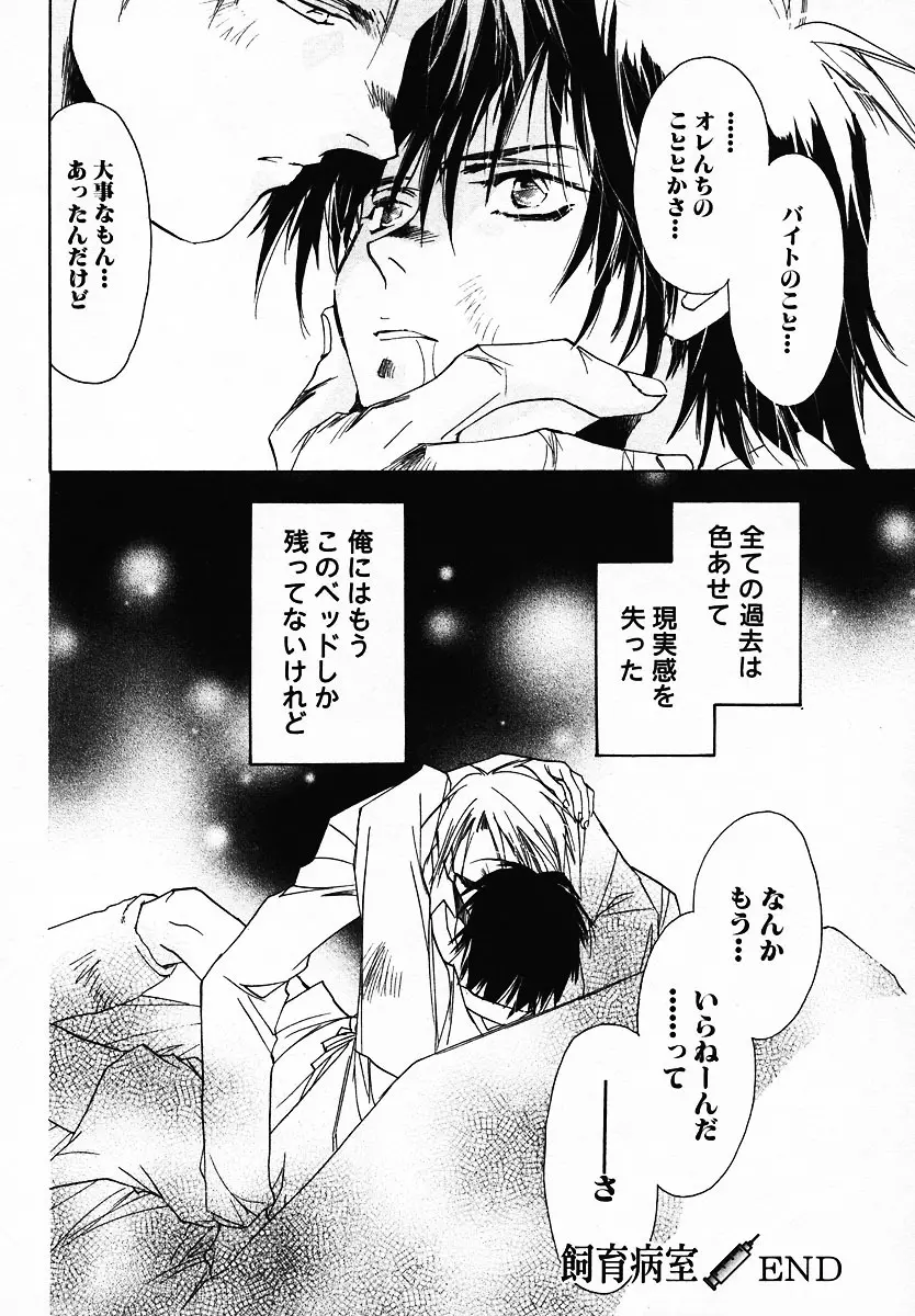 [Breed in the Sickroom][飼育病室][yaoi][JPN] 32ページ