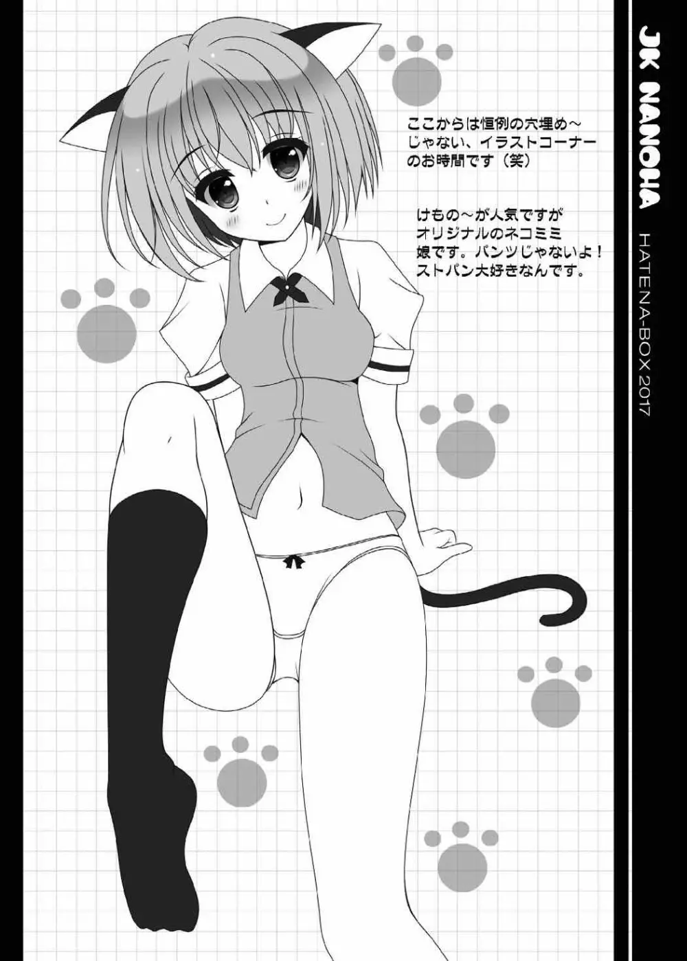 JK NANOHA 21ページ