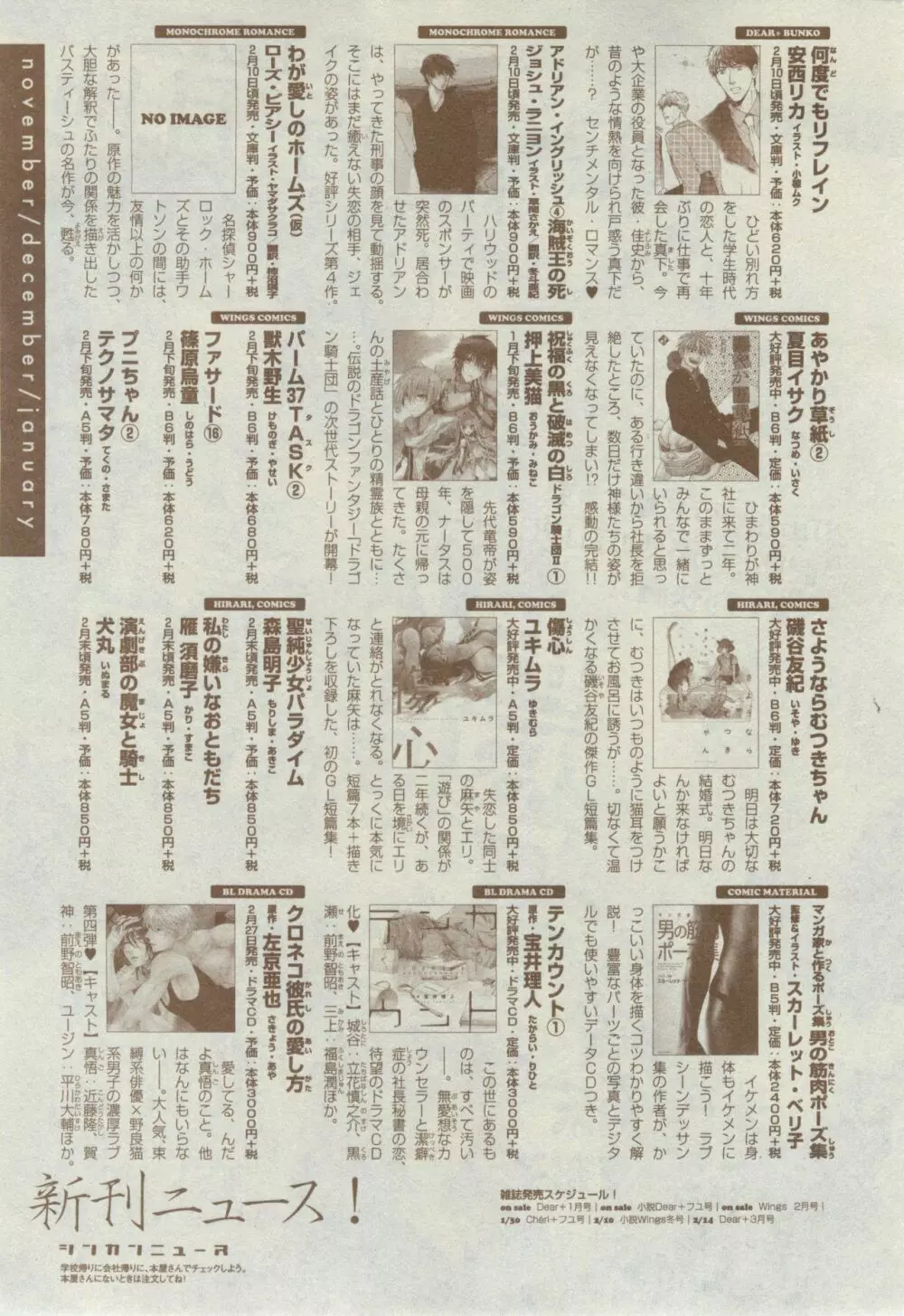 ディアプラス 2015年02月号 505ページ