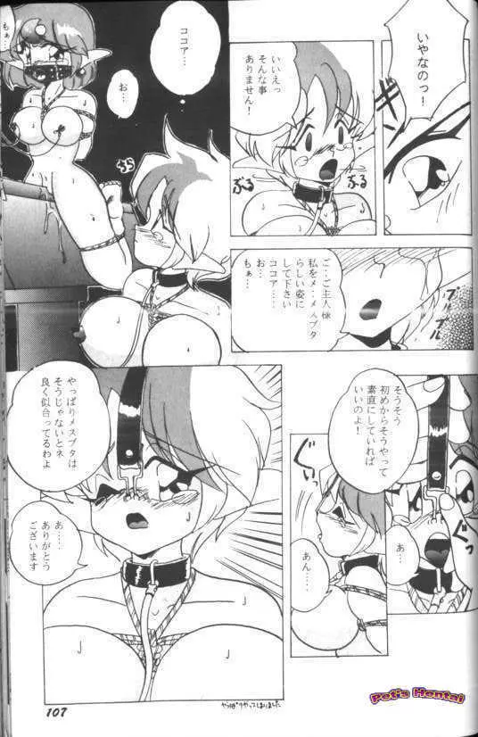 アニパロ美姫7 108ページ