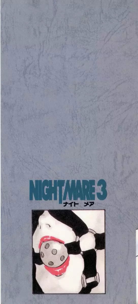 NIGHT MARE 3 2ページ