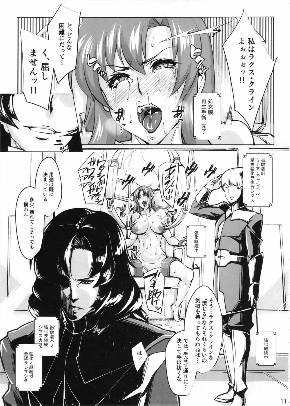 (COMIC1☆11) [ピーナッツランド (オタクミン)] ラクス･クライン(偽)改造計画 (機動戦士ガンダムSEED DESTINY) 10ページ