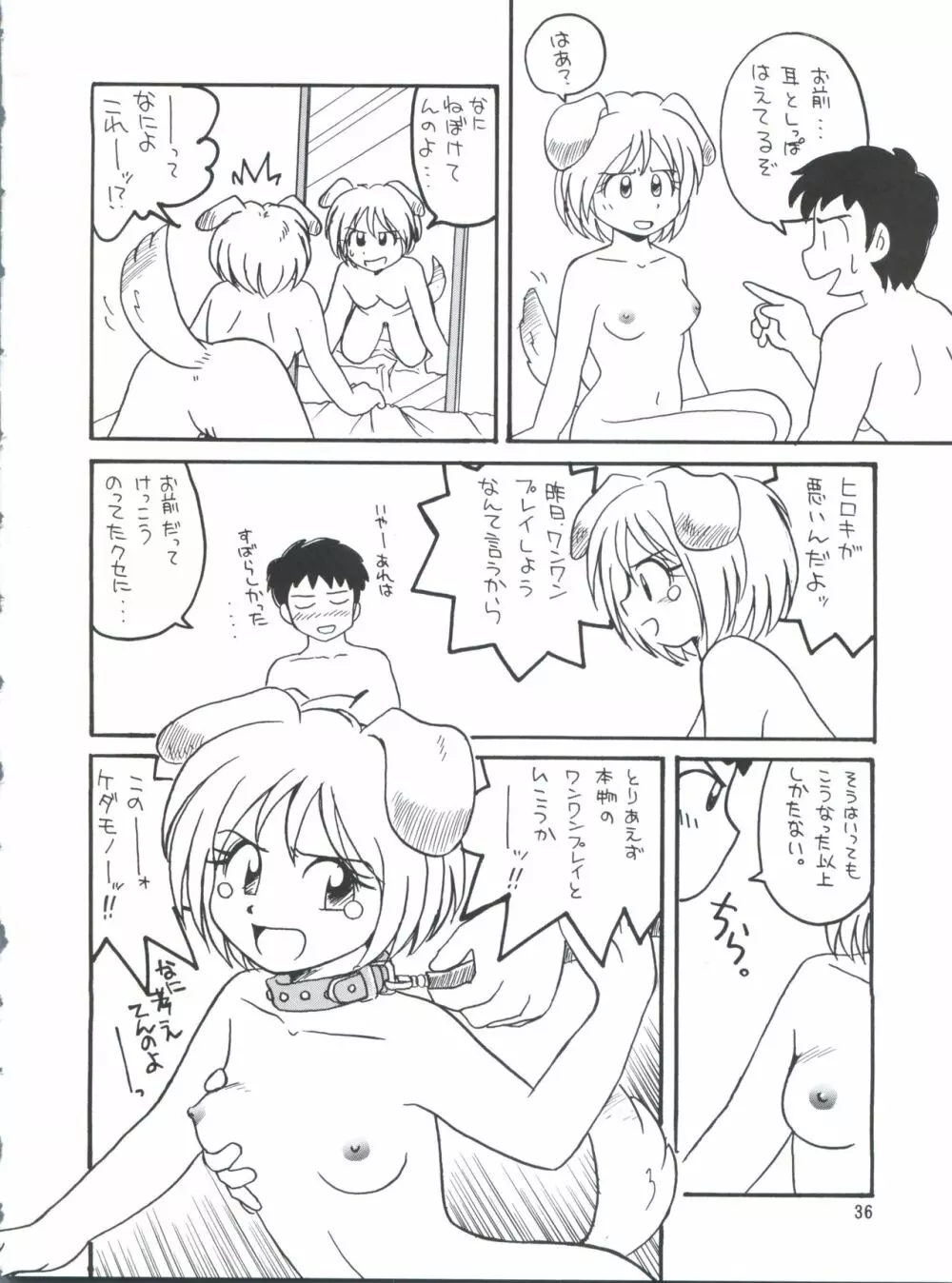 プラスY Vol.26 けもみみっくす 2 36ページ