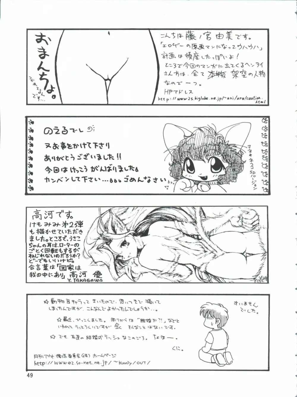 プラスY Vol.26 けもみみっくす 2 49ページ