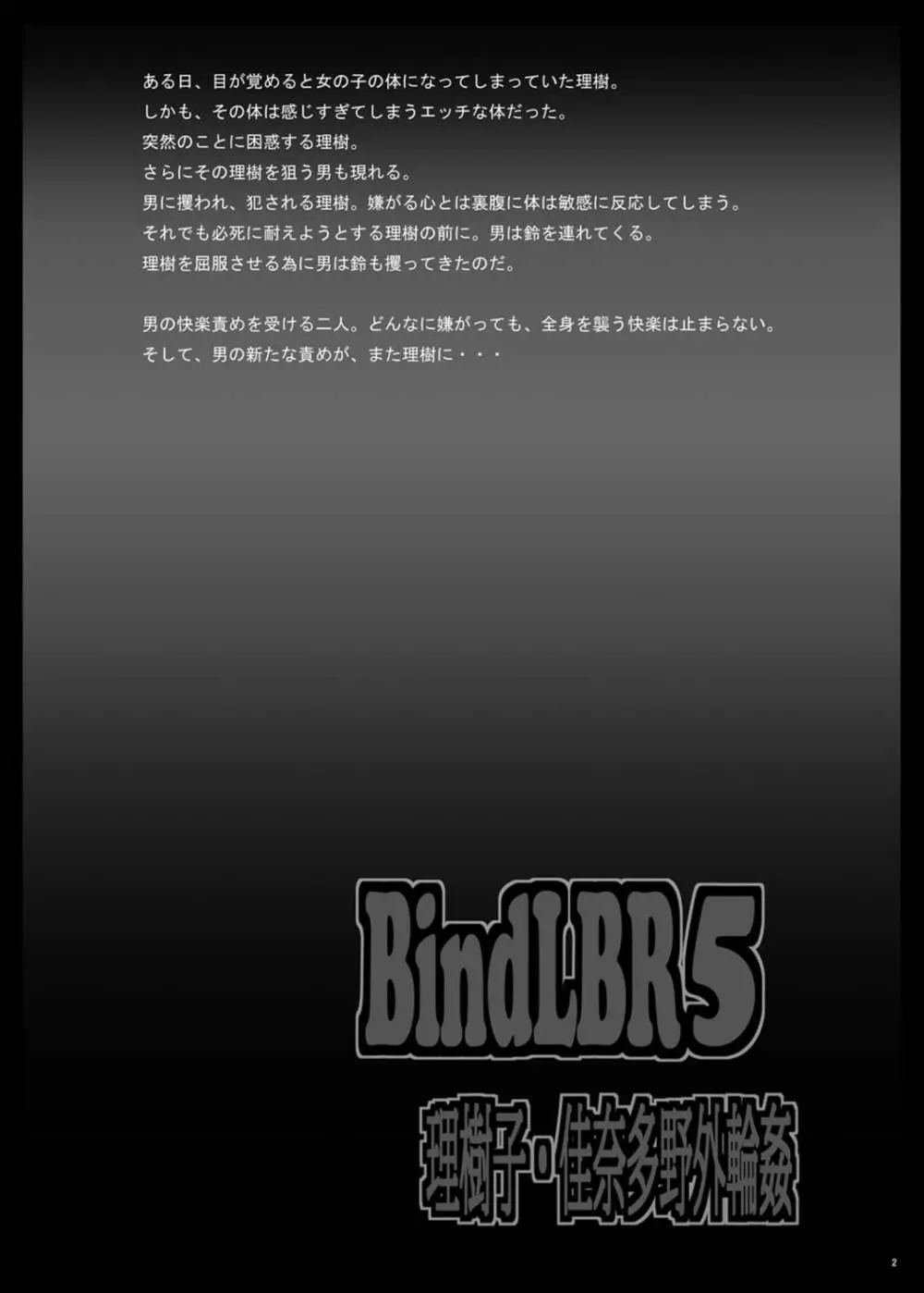 BindLBR5 3ページ