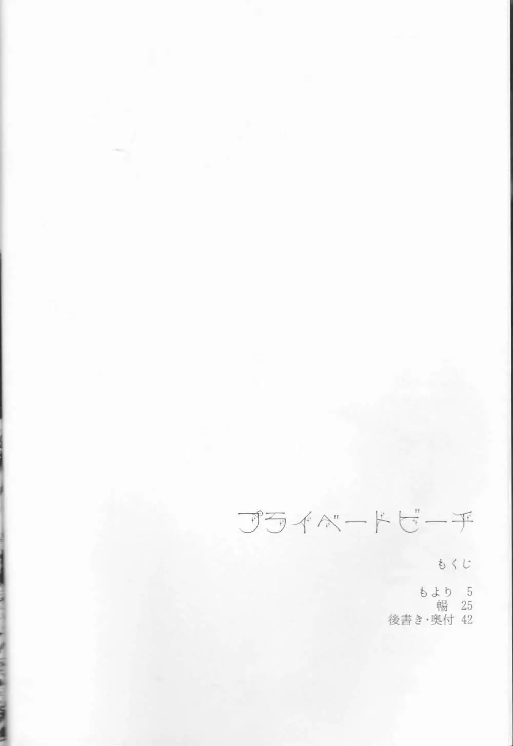 プライベートビーチ 5ページ