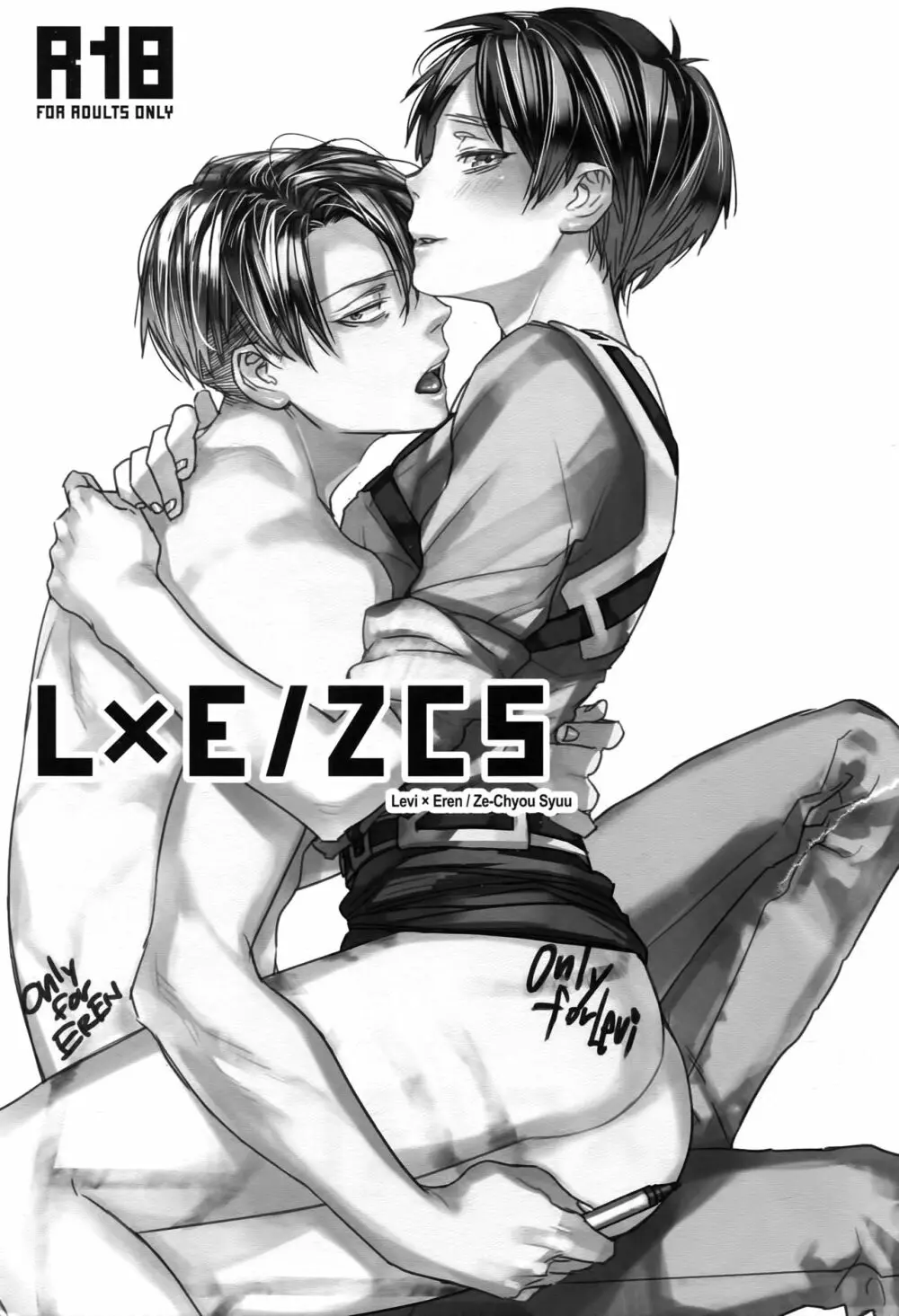 L×E/ZCS 3ページ