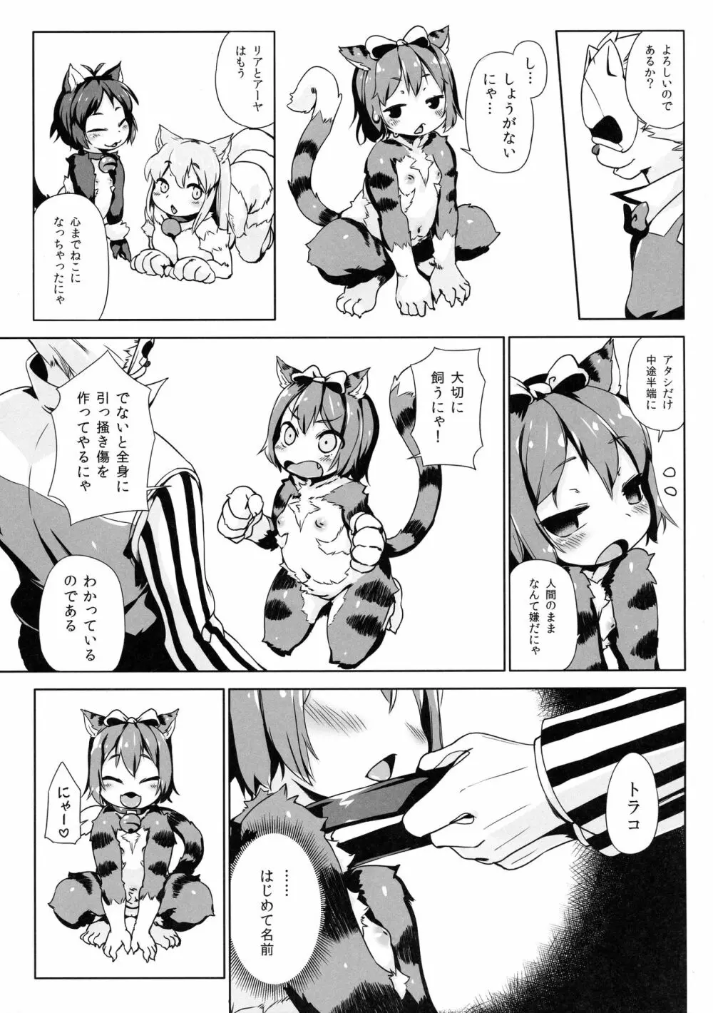 ねこ堕ちシャインフェアリーズ 39ページ