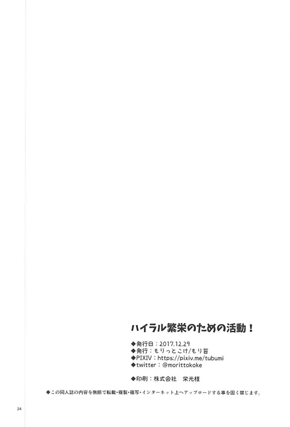 ハイラル繁栄のためのかつどう! 25ページ