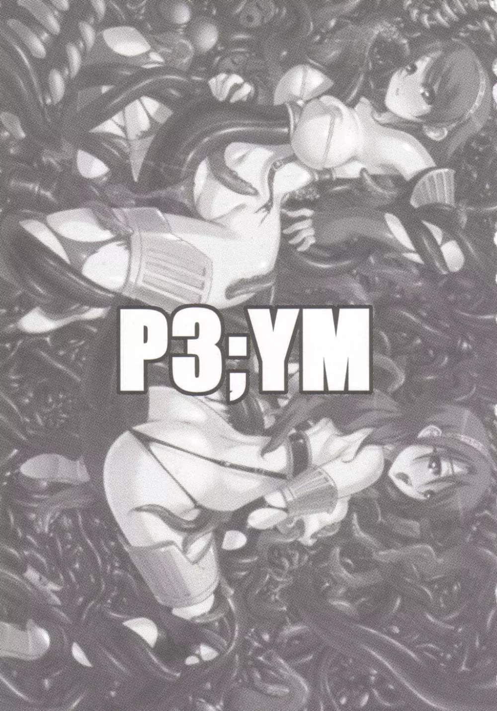 P3;YM 3ページ