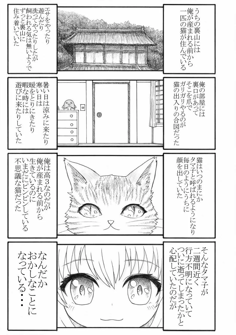 化け猫の恩の返し方 2ページ