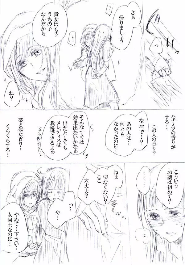 少女たちが少女を攫って来るお話 24ページ