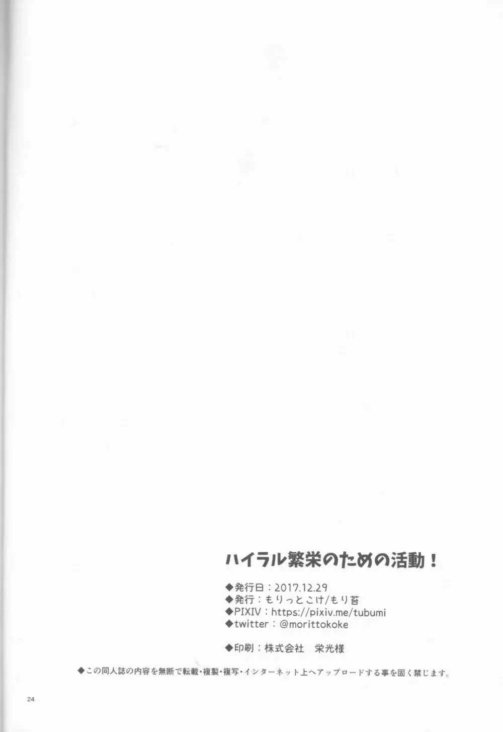 ハイラル繁栄のためのかつどう! 25ページ