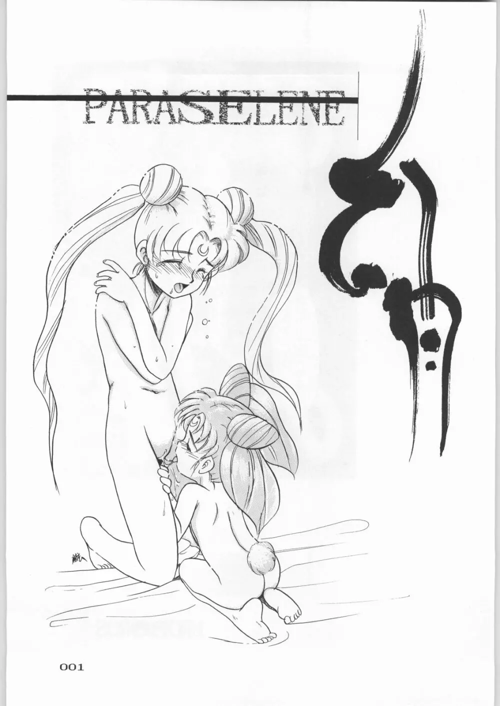 PARASELENE 2ページ