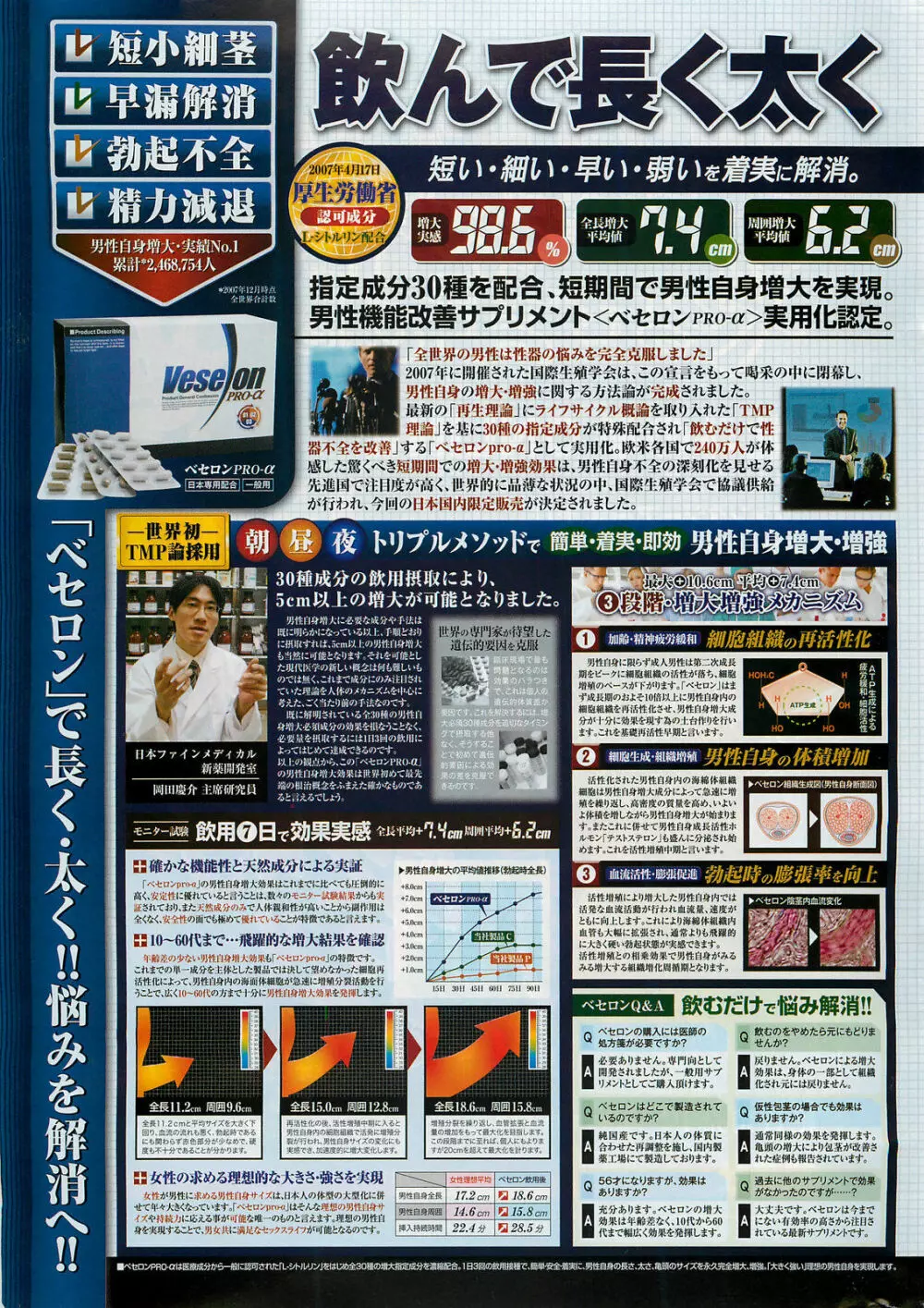 アクションピザッツDX 2008年11月号 251ページ