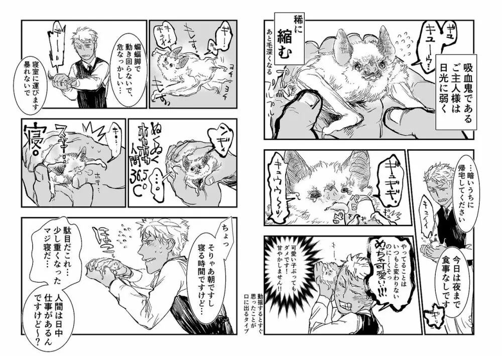 吸血鬼ロリババアと食用人間奴隷くん 10ページ