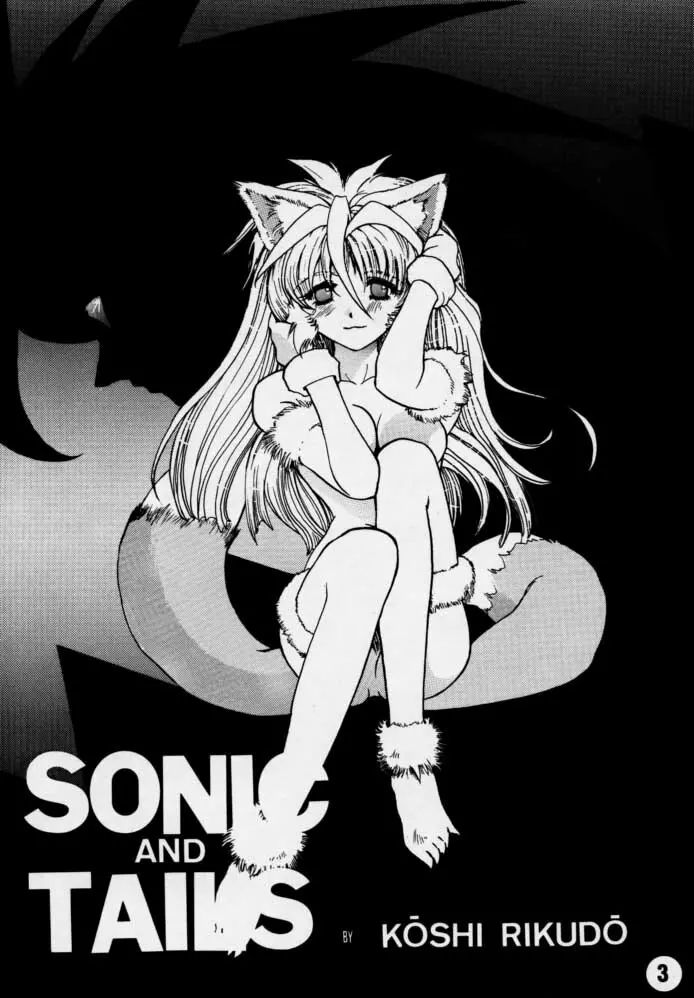 Sonic & Tails 2ページ