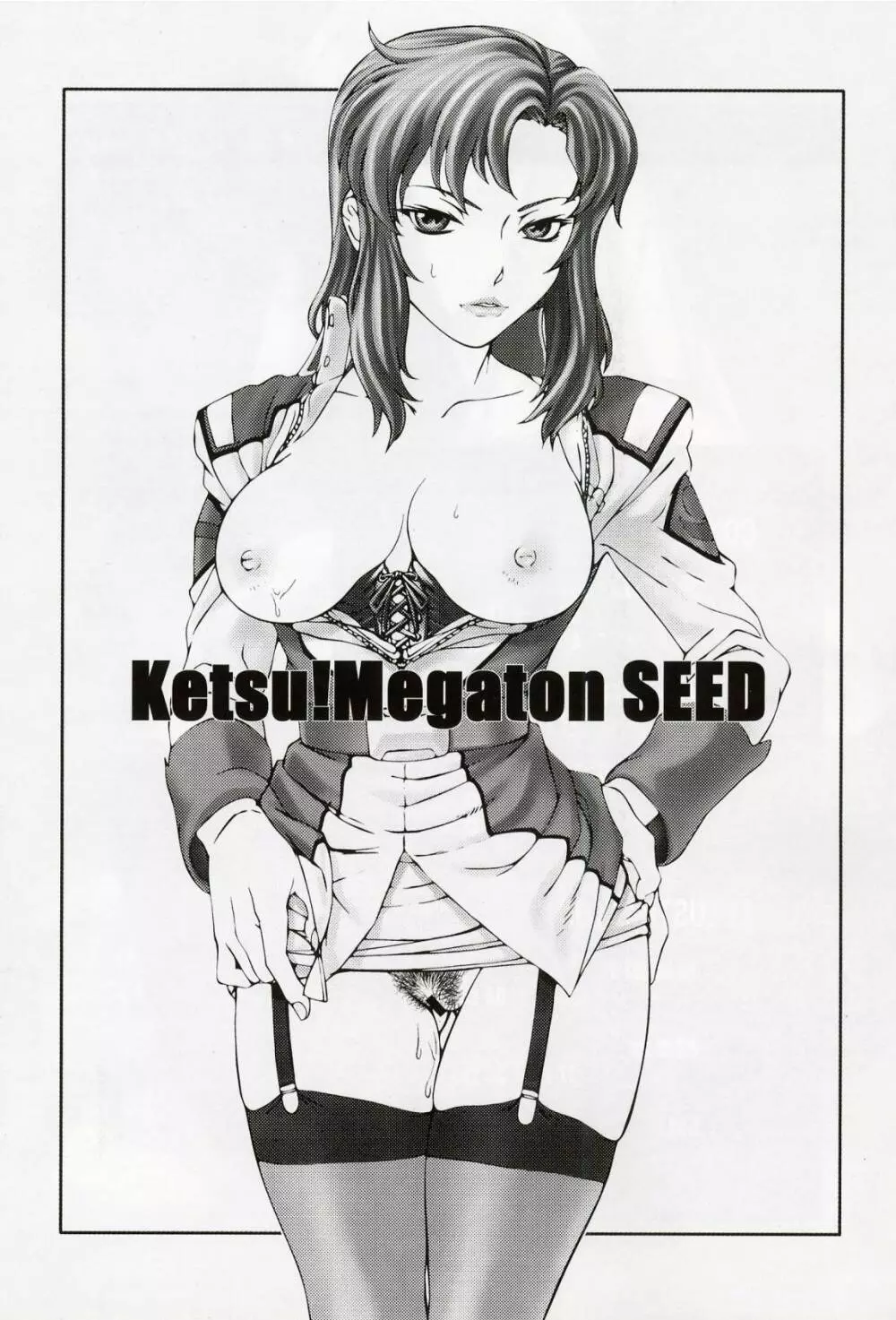 KETSU！Megaton SEED 2ページ