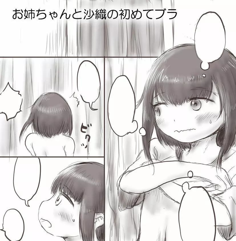 お姉ちゃんと沙織の初めてブラ