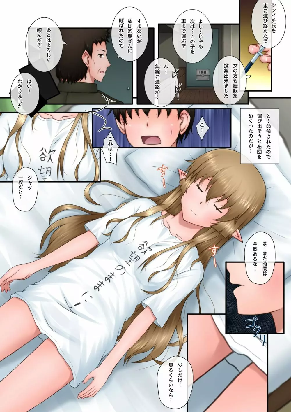 眠っているとあるハーフエルフの娘にいたずらっ!! 4ページ