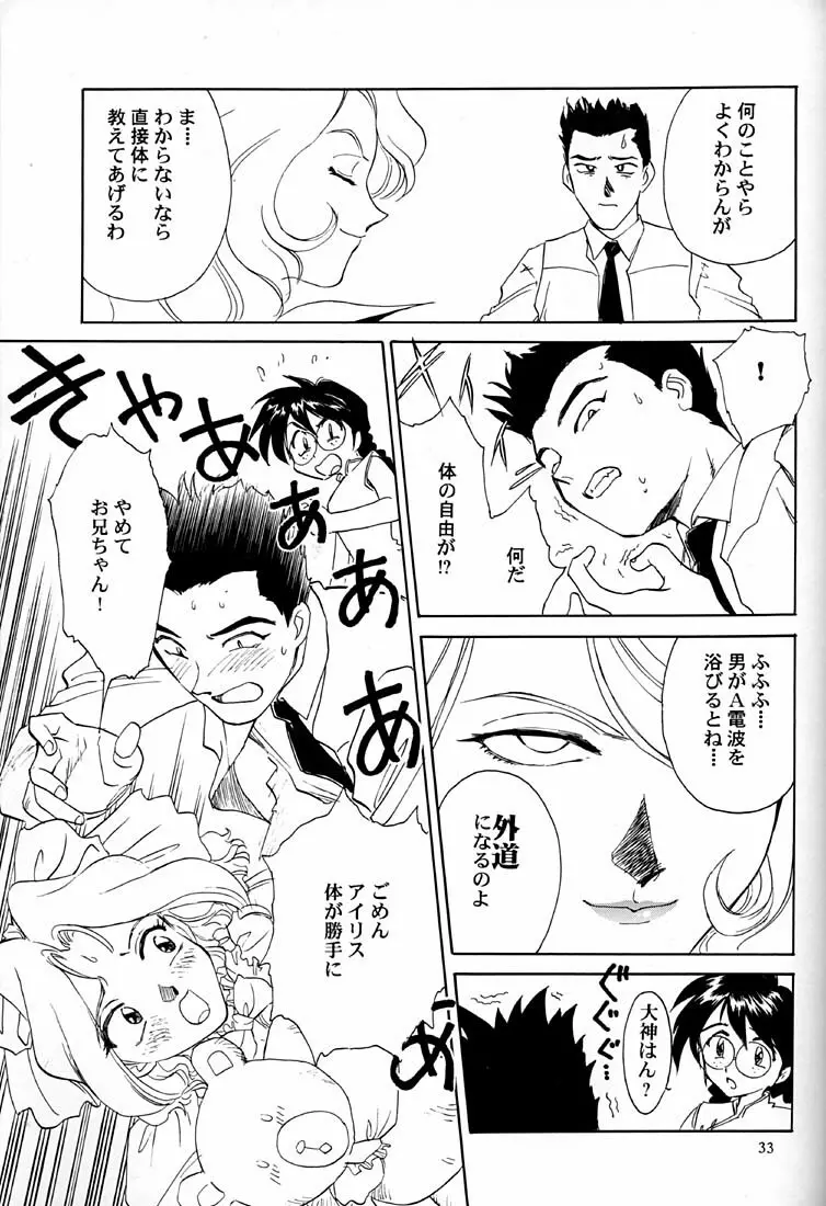 芍薬 牡丹 百合の花 34ページ