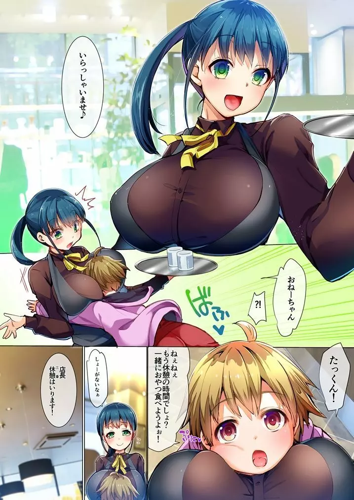 巨乳のお姉ちゃんは好きですか?VIER 3ページ