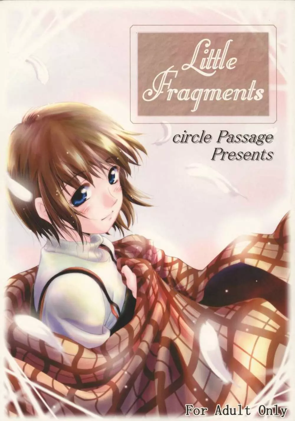 Little Fragments 1ページ